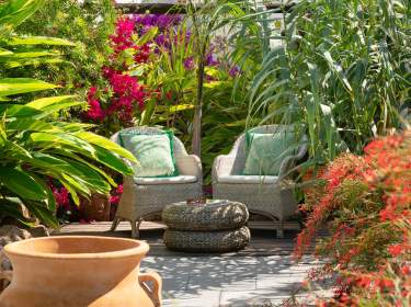 Finca mit wunderschöner Außenanlage Finca mit wunderschöner Außenanlage